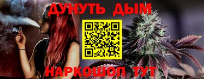 индика Брянск