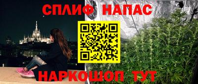 индика Брянск