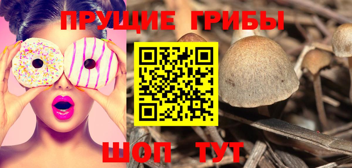 Галлюциногенные грибы MAGIC MUSHROOMS Грозный